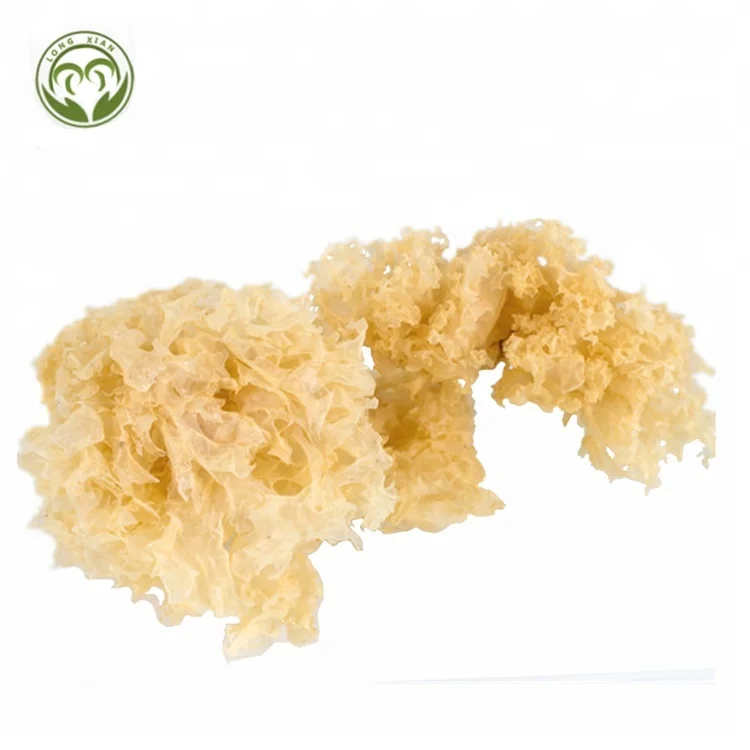High quality dried white fungus dried tremella