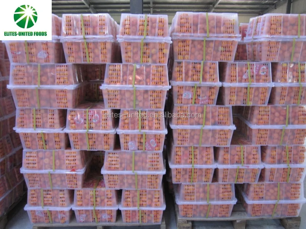 Wholesale new harvest fresh citrus sweet mandarin oranges