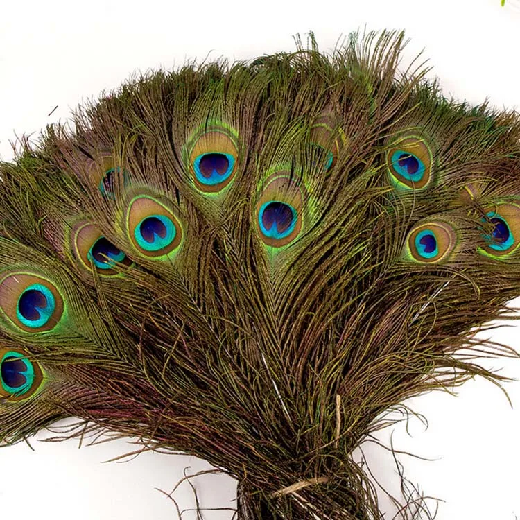 
Real Natural Wholesale Cheap Peacock Feather for sale 