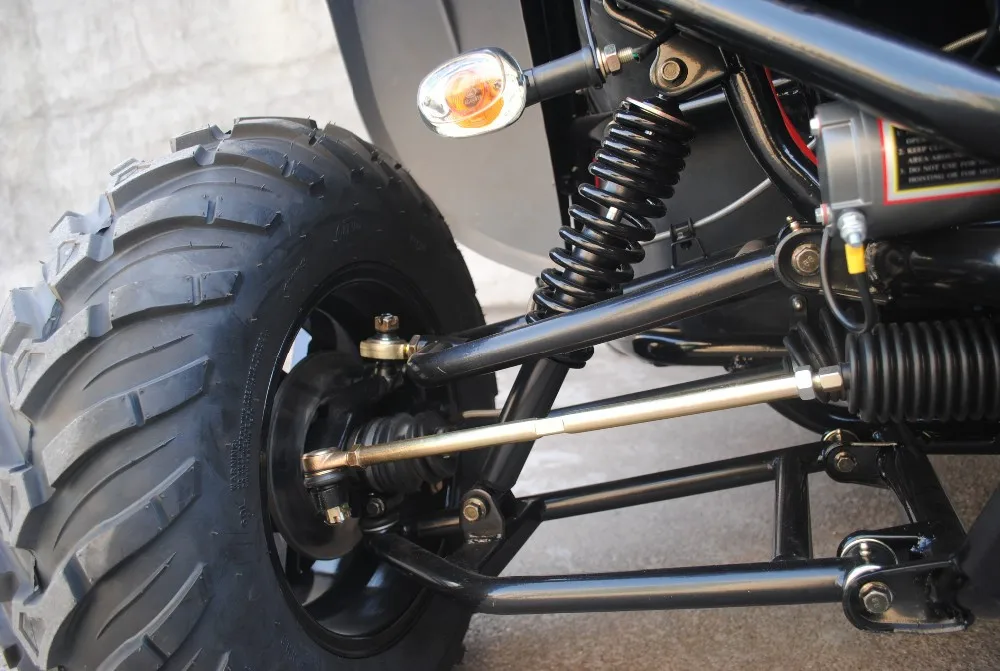 Renli EEC4 Racing Two Seats Cheap Adult Go Karts Offroad Dune Buggy 4x4 1100cc