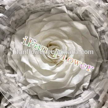 
Wedding stage decoration with flower big rose flower preserved flower roses 