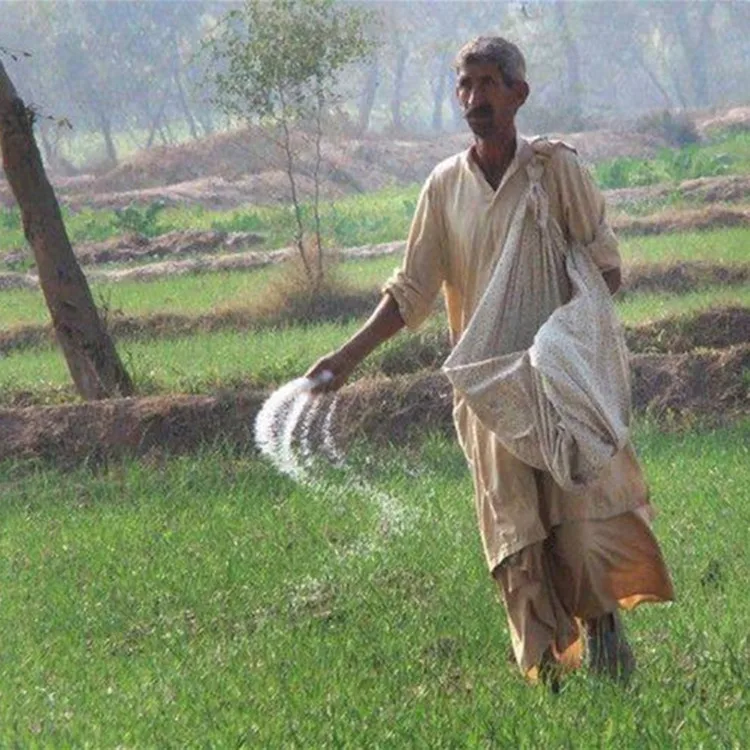 Granular TSP Tirple Super Phosphate  46%