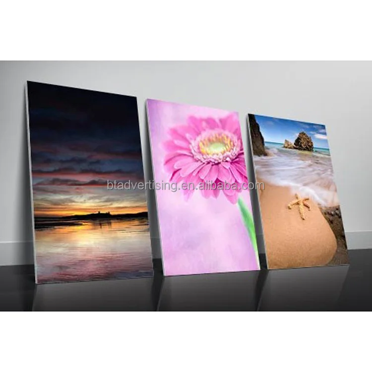 
BT-Bruce 0107 Painting Use and Painting Canvas Type artist canvas banner roll 