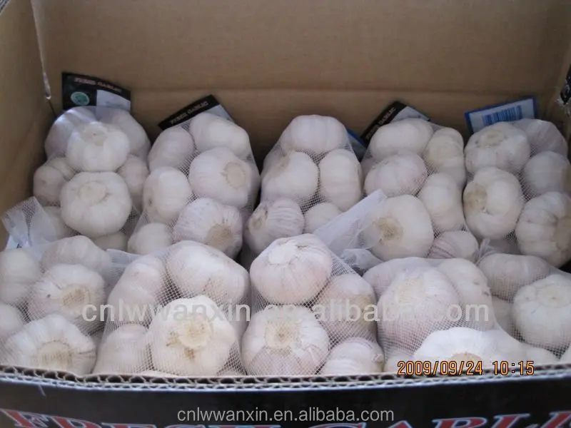 
fresh garlic price 