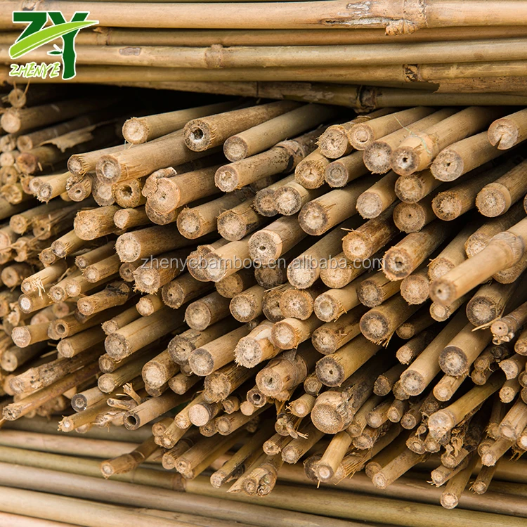 
HOT!!! ZY-1005 Bamboo Sticks Wholesale Price Bamboo Tonkin Sticks Cheap Bamboo Sticks 