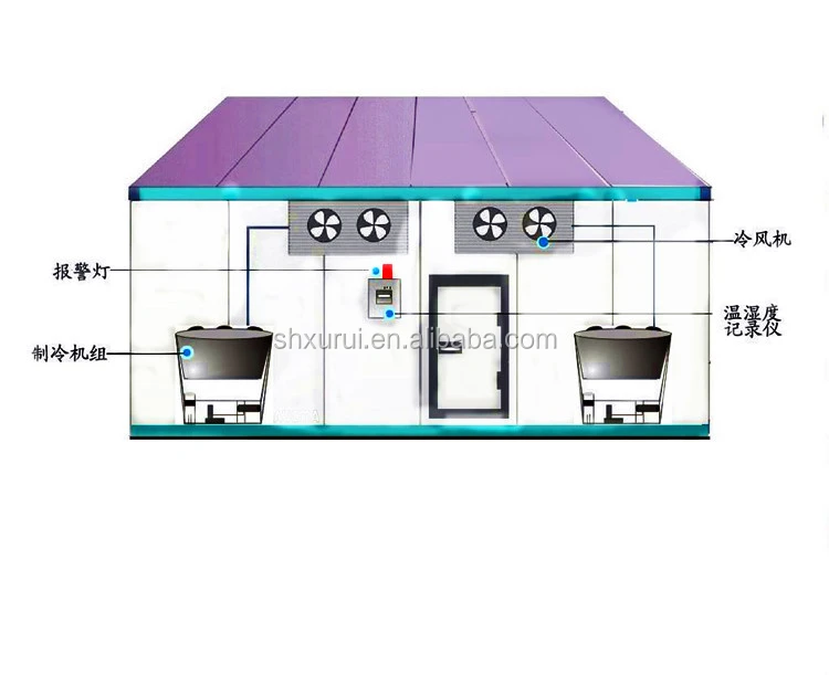 cold room with condengsing unit for grape /vegetable/Mango/lemon/fruit