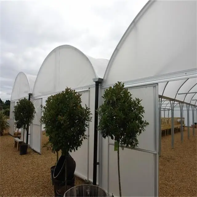 Agriculture plastic large multi span greenhouse for sale