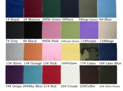 Luxury Booster Dog Car Seat/ Carrier