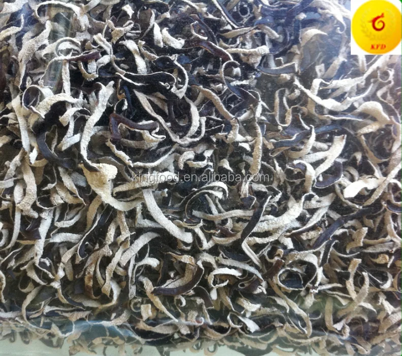 High Quality Black and White Fungus Strip Available