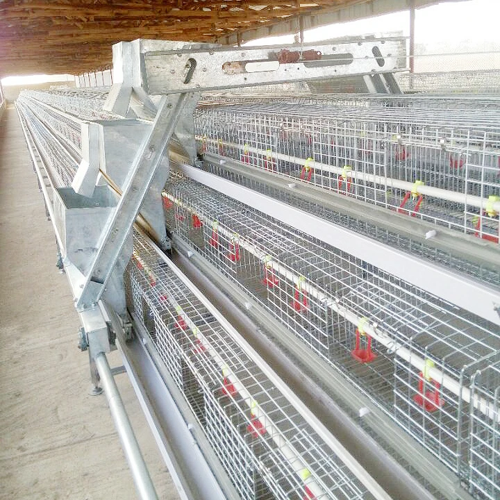 egg chicken Poultry Shed Cage for layer chicken farm Poultry farm house A type layer galvanized welded wire mesh egg chicken