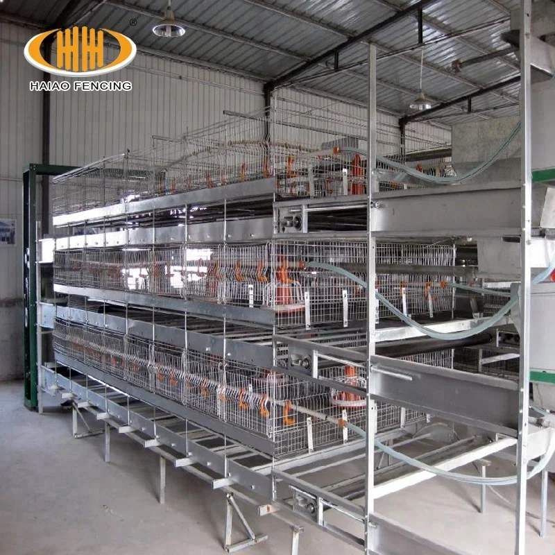 China factory wholesale low price good poultry chicken cages layer cages egg chicken