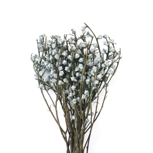 Plant Dry Eucalyptus Fruit Bouquet Wholesale Wreaths Natural Decorative Flowers Wedding Dried Eucalyptus Berry with Stem