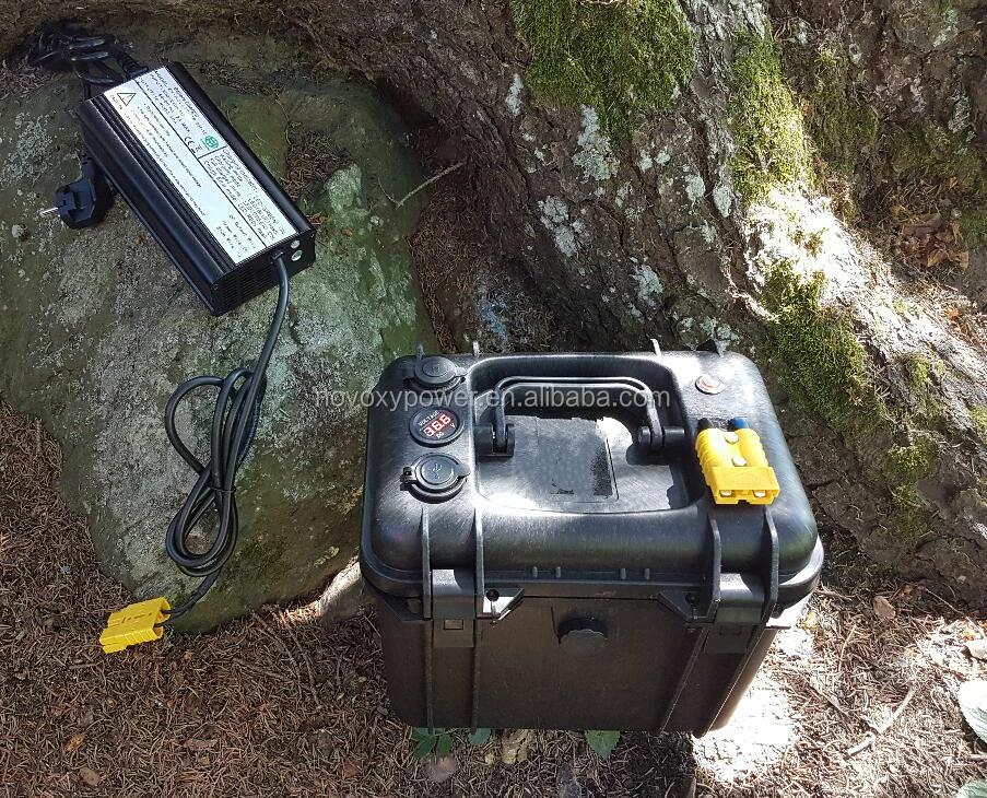 18650 Li-ion Type Golf cart battery lifepo4 battery pack 24v 50ah 60ah for 3 wheeler electric vehicle in india