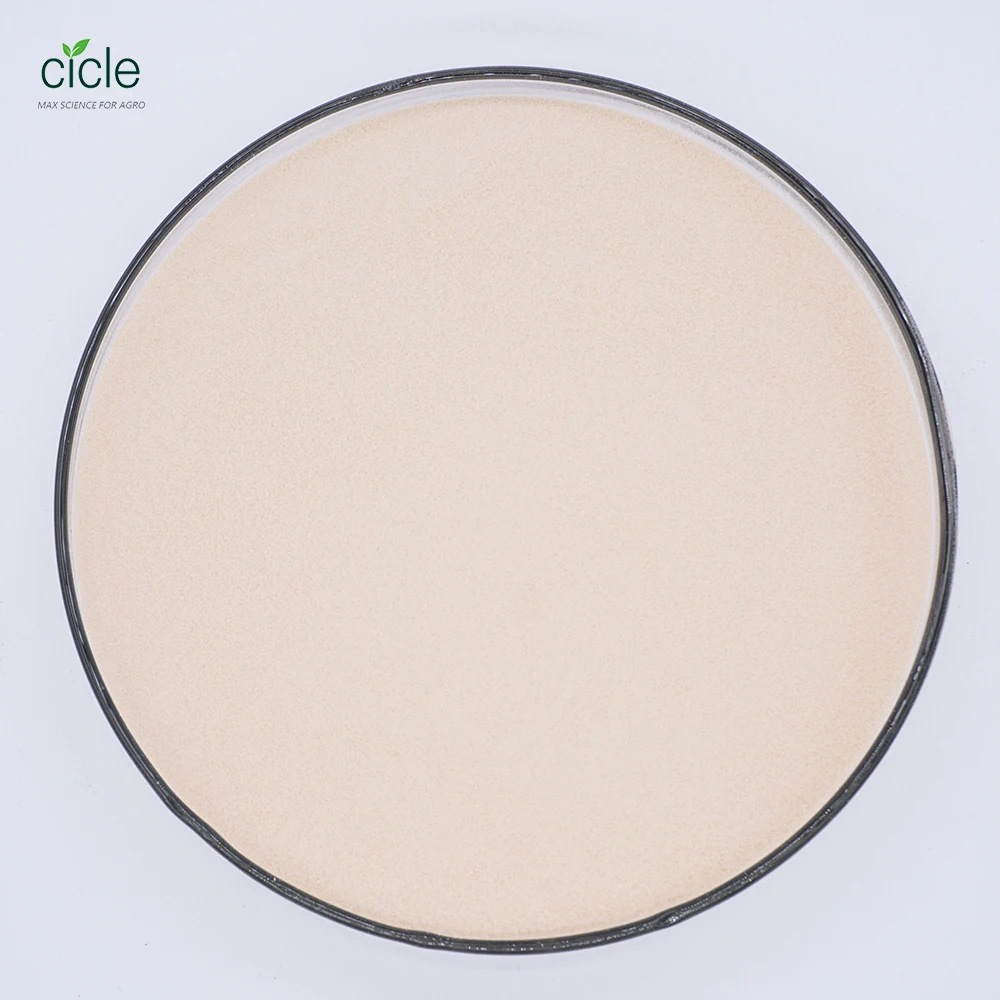 Hot sale Compound Amino acid powder 80% biostimulant enhance plants growth vegetable source