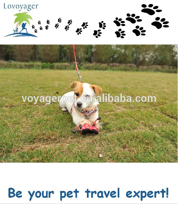 Водонепроницаемый Cordura и нейлон оболочки собака туфли