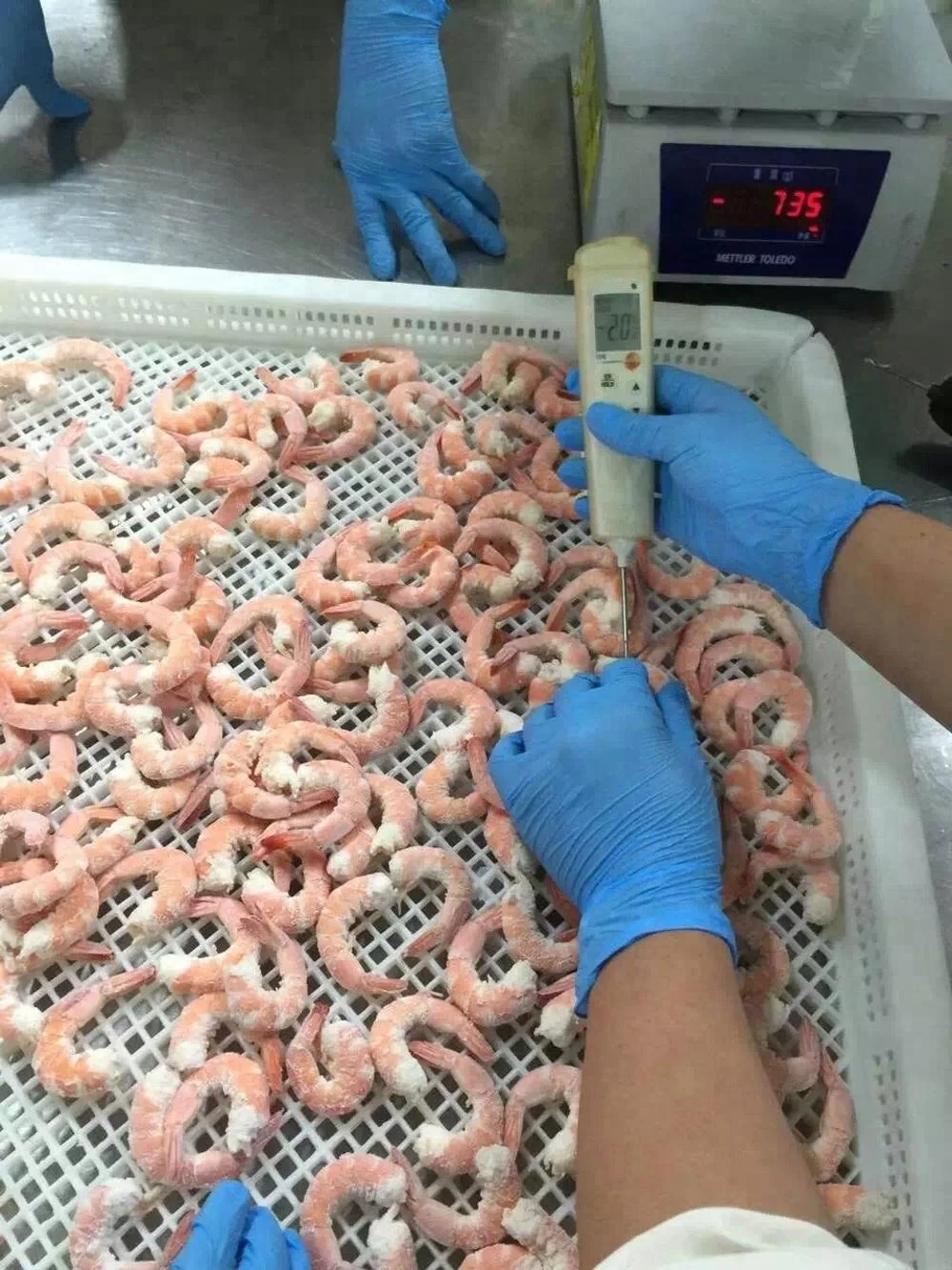 DJL liquid nitrogen tunnel freezer for lobster tail/quick freezing machine for crayfish tail /shrimp tail flash freezer