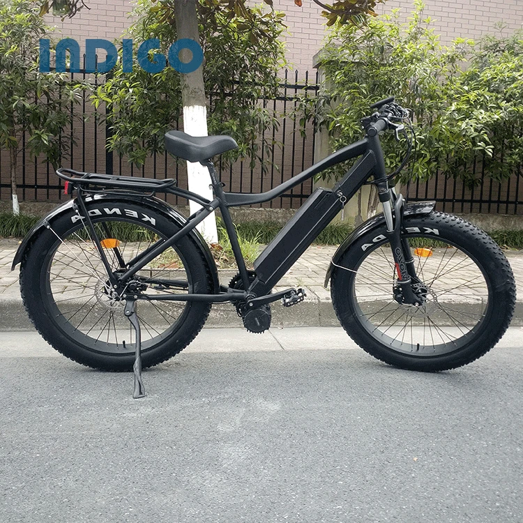 China Supplier Mountain Fat Tire Electric Bike mid motor tyre electric bike/bycicle/ebike 750w electric bike