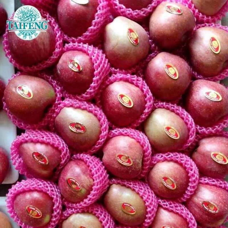 20kg carton Gala Apple