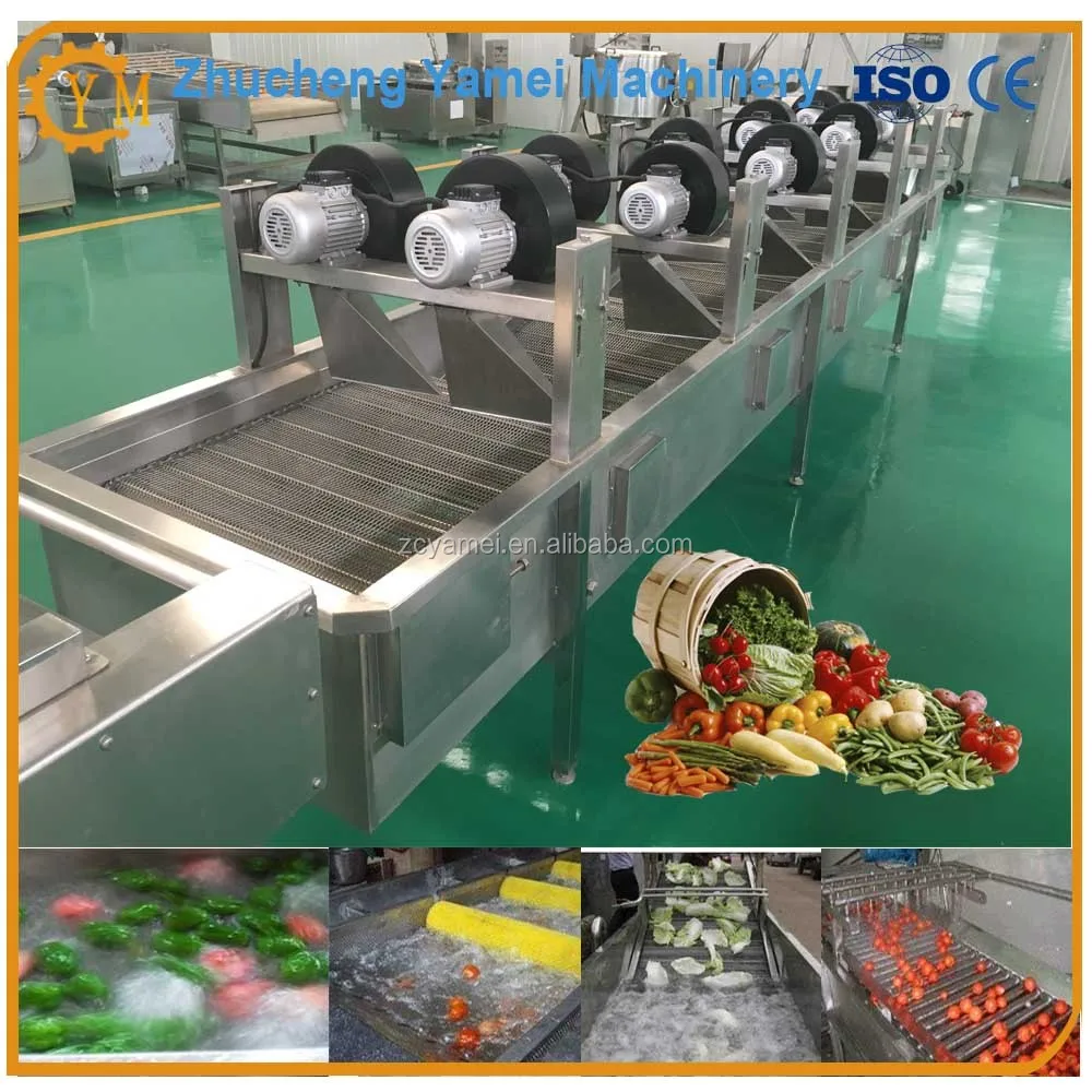 sweet potato cleaner / batata washer / taro washing machine