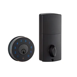Safety Zinc Alloy Password Keyless Smart Electronic Candados Intelligent Digital Deadbolt Wood Door Locks