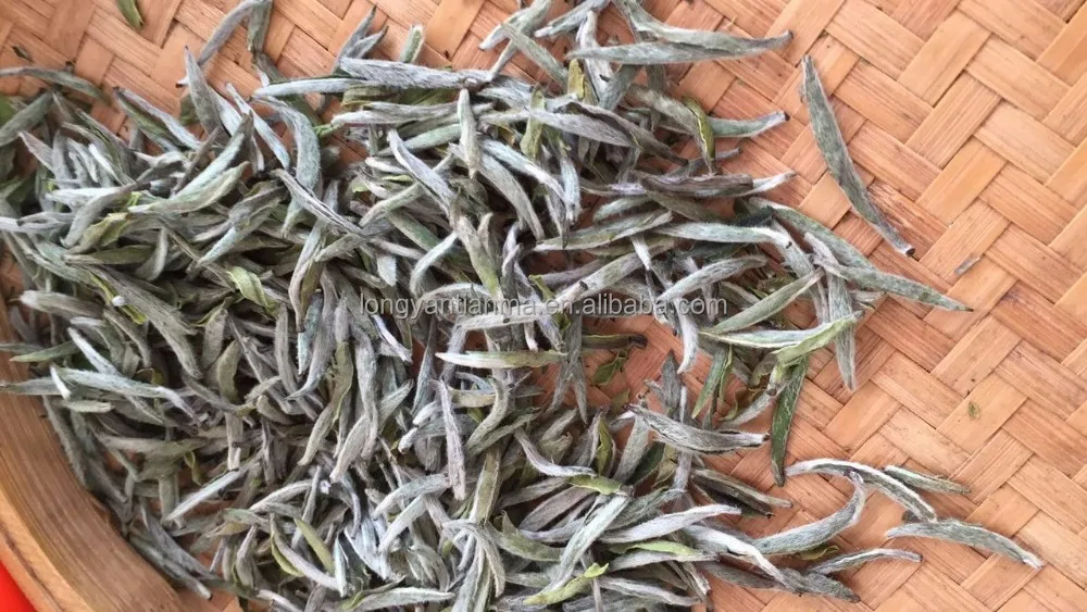 
organic silver needle white tea 