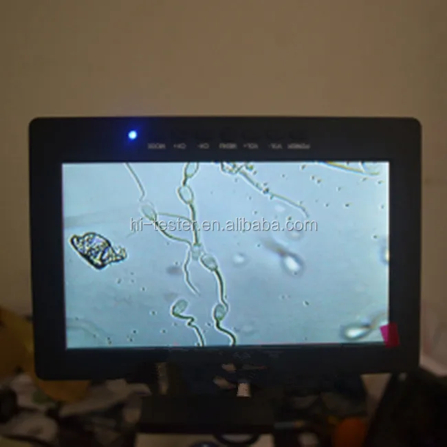 XSP-300 7inch TV Microscope, Binocular microscope with 7 inch LED screen