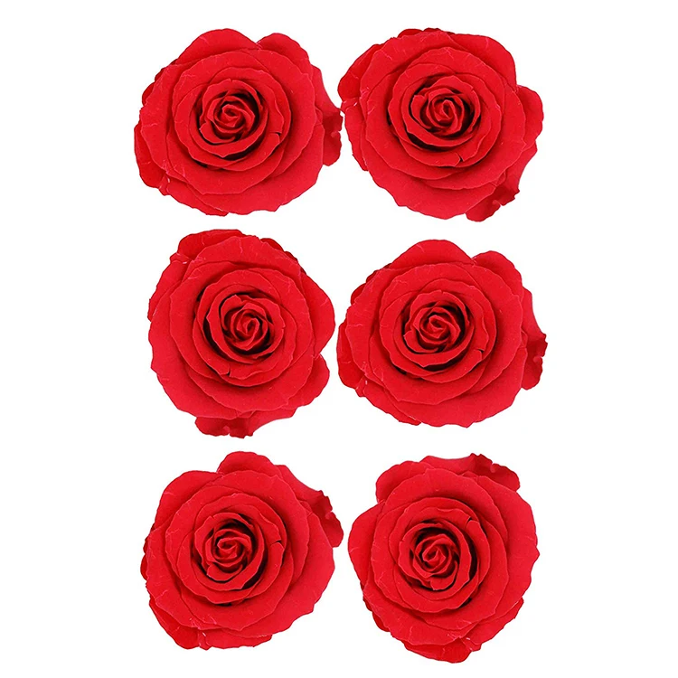 
grosse rose eternelles rmo de rosas y stich cadre roses artichoke dried flower 