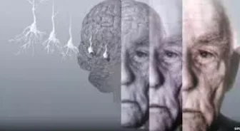 
alpha gpc 50%/alpha gpc wholesale l-alpha glycerylphosphorylcholine cas 28319-77-9 