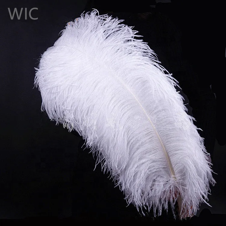 28-30in/70-75cm Ostrich Pluma Black Cheap Decoration Bleached White Ostrich Feathers