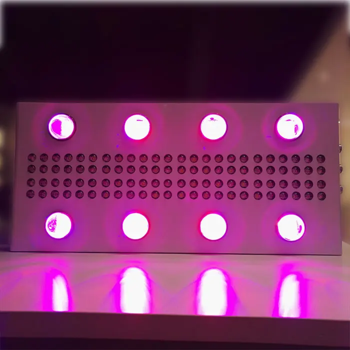 
hydroponic induction cxb3590 diy high power led grow lights 2000w for commercial crop grow light led grow 