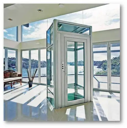 
OTSE small villa elevator for homes, 250kg 3 or 4 person small home machine room less lift elevator 