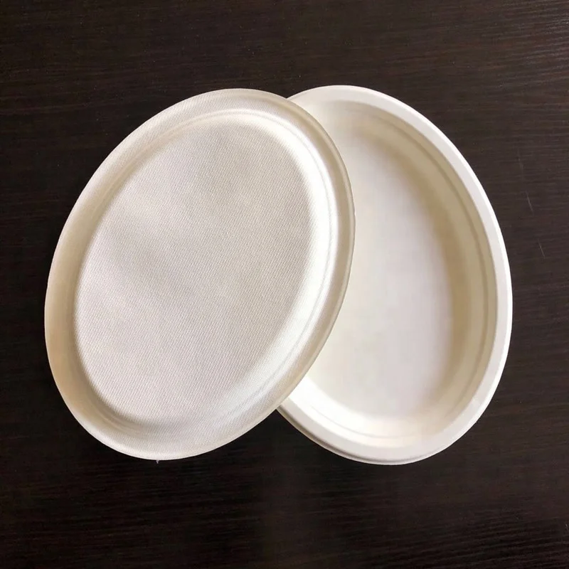 Factory Oval Disposable Sugarcane Bagasse Food Tray Biodegradable Paper Plates