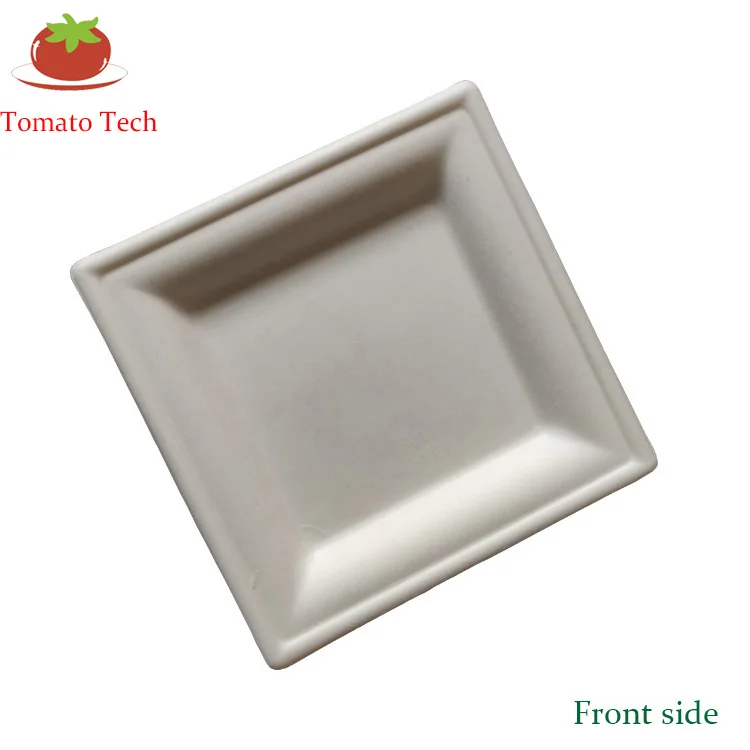 Compostable Biodegradable Sugarcane Dinnerware Bagasse Paper Pulp 10inch Square Plate
