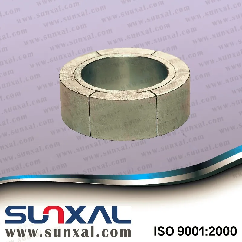 
Sunxal strong power magnets for rotors 