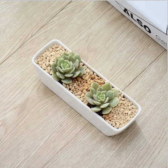 White minimalist creative gardening fake flower resin ceramic small flower pot