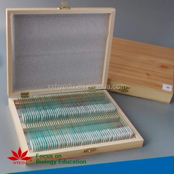 Fixed set Most popular algae biology prepared microscope slides set for biological lab equipment