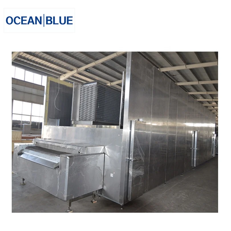 Vegetables and Fruits IQF Tunnel Blast Freezer