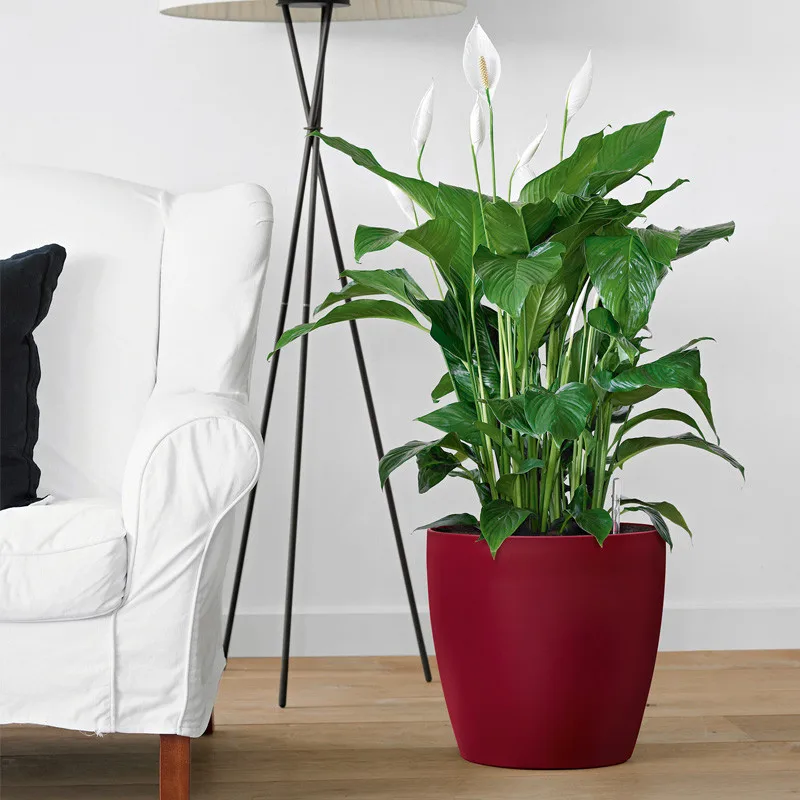 Outdoor smart ornamental big size resin fiberglass white glaze baking finishing lazy hydroponics flowerpot planter