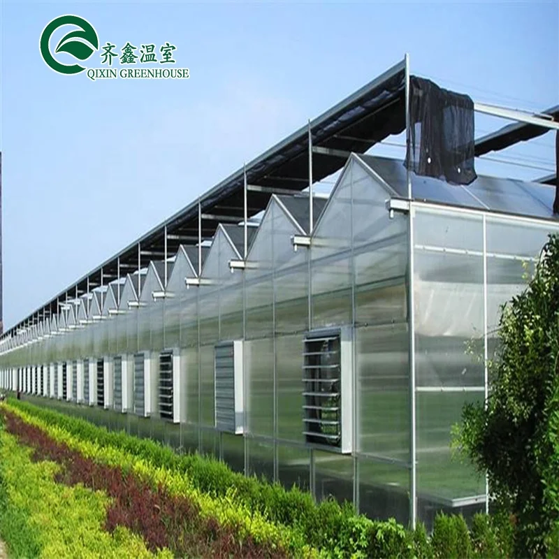 Used Venlo Garden Glass Greenhouse Galvanized Frames For Sale