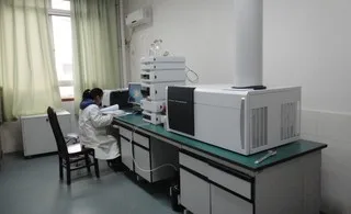 The Body Shop strawberry Powder Organic Freeze Dried high vitamin C  Fruit Flavor For Cooking