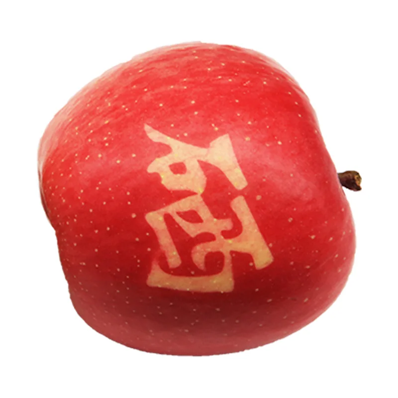 
High quality cheap price Chinese New Crop fresh Apples 