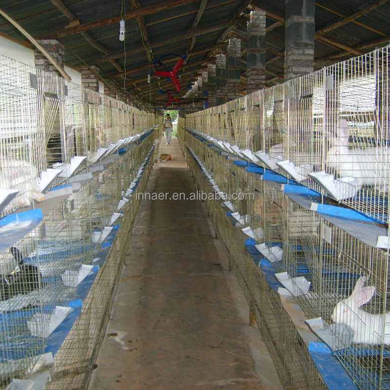 Поставка практичной и прочной клетки для кроликов (ISO9001) по низкой цене