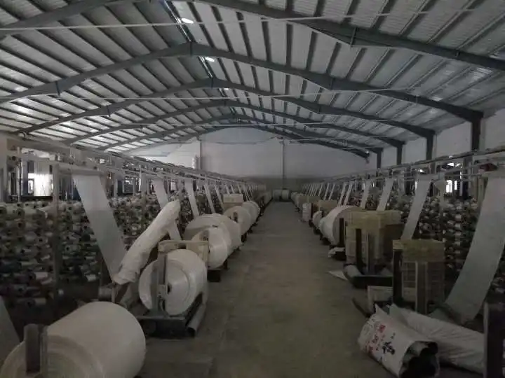 China Wholesale Weaving Polypropylene Rolls