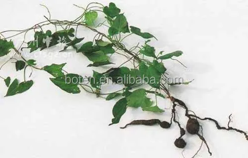 Tuber Fleeceflower Root Extract with Fo Ti