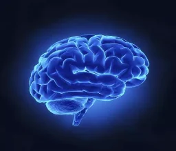 
alpha gpc 50%/alpha gpc wholesale l-alpha glycerylphosphorylcholine cas 28319-77-9 