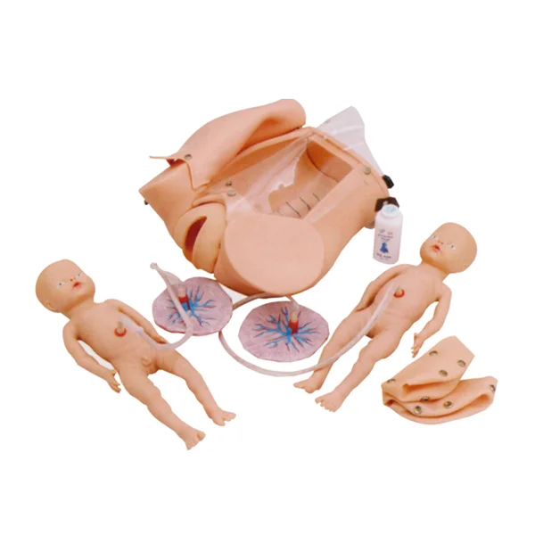 BIX-F52 Medical Science Nursing Training Made In China Pregnant Women And Childbirth Model