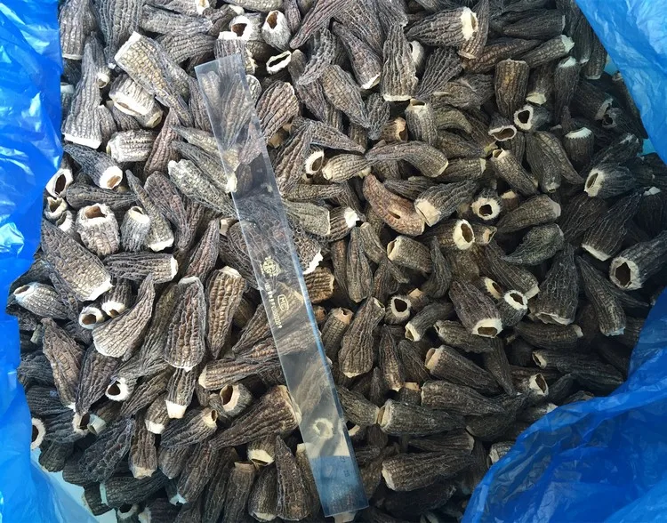 Wholesale IQF frozen morel mushroom, price of frozen morel
