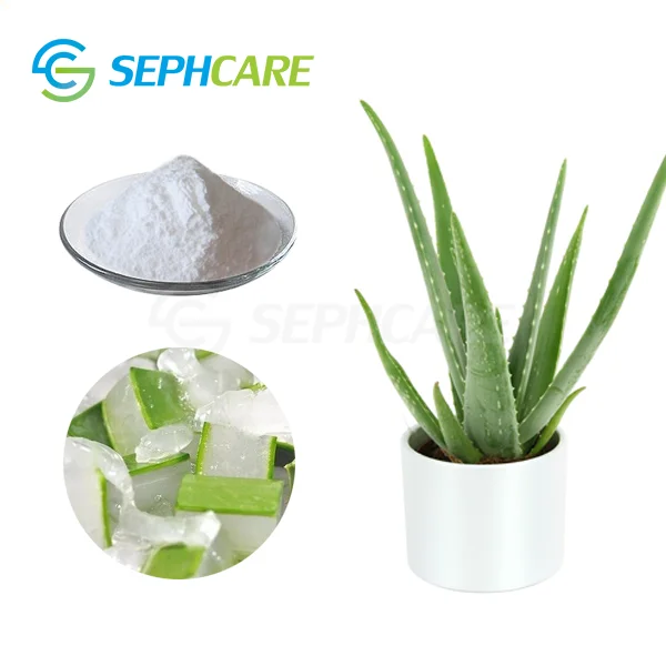 Оптовая продажа, порошок алоэ вера, экстракт листьев