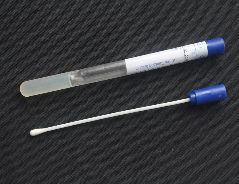 
Amies Transport Medium Swab Stick,Female/Male Swab,Sterile Cotton Swab Stick 