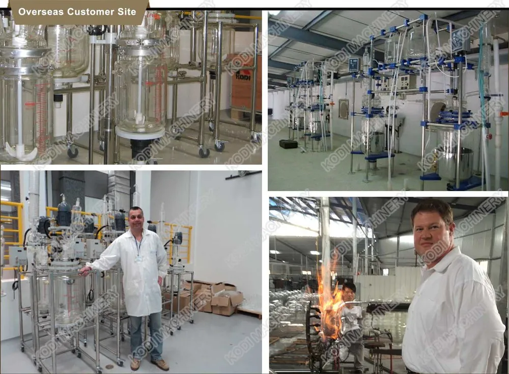 Overseas Product Siteglass reactor